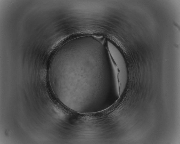 X0000091540444200709071108