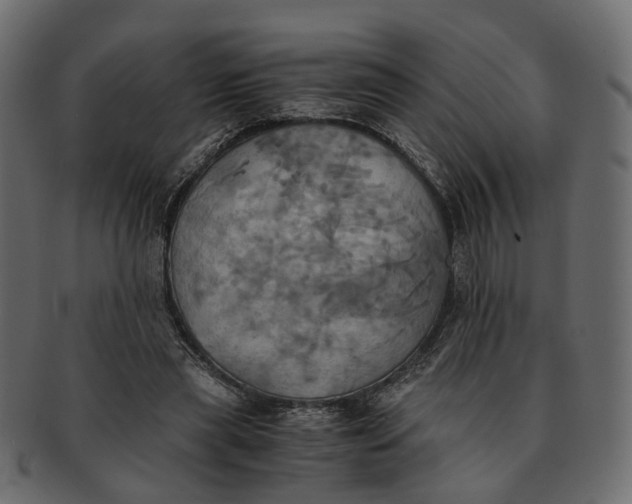 X0000091540445200709071108