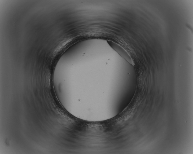 X0000091540446200709071108