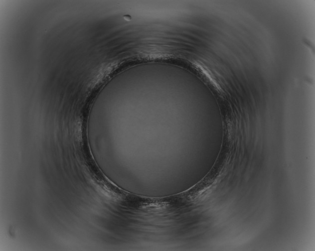 X0000091540447200709071108