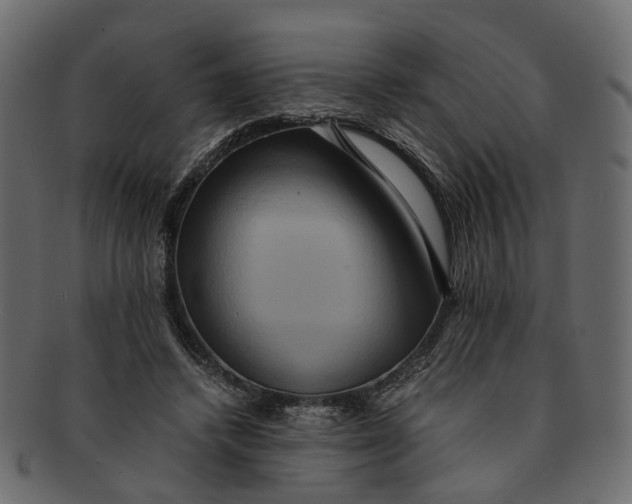 X0000091540448200709071108