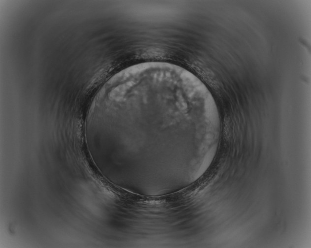 X0000091540449200709071108