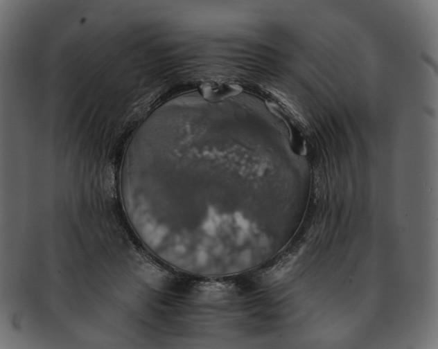 X0000091540453200709071108