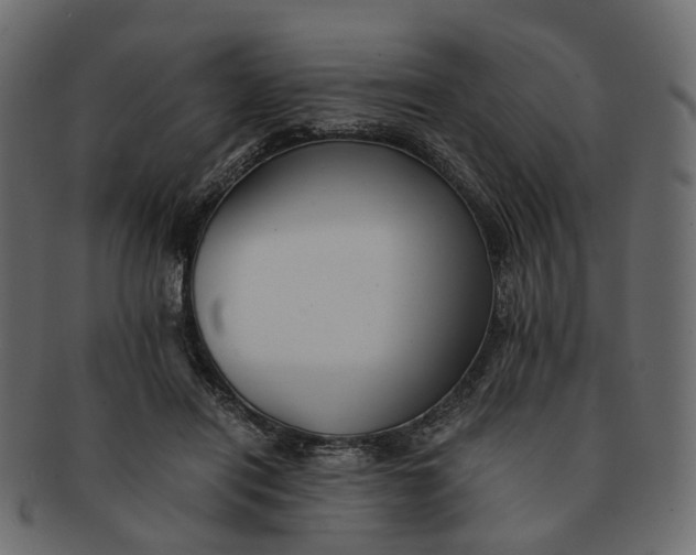 X0000091540454200709071108