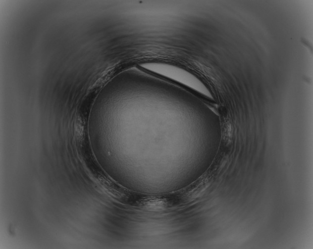 X0000091540456200709071108