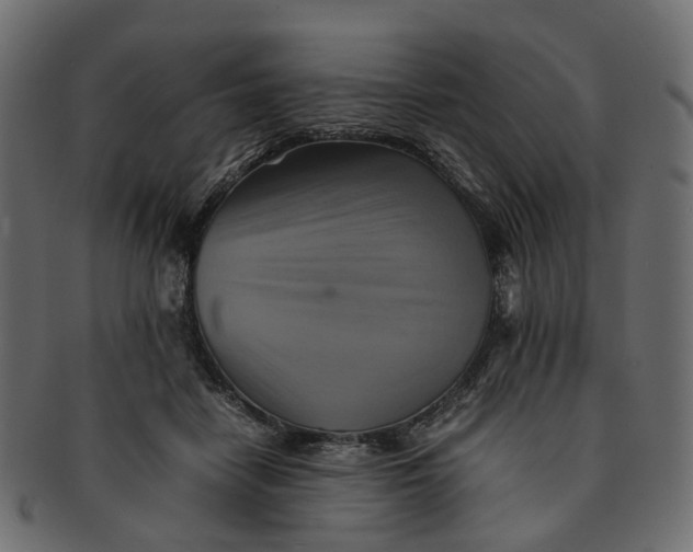 X0000091540458200709071108