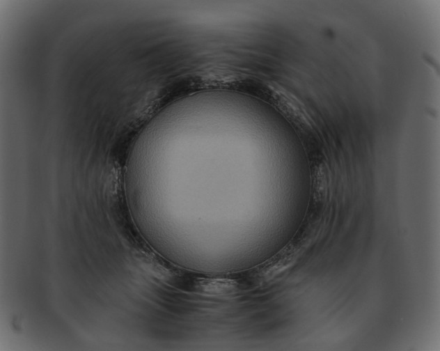 X0000091540463200709071108