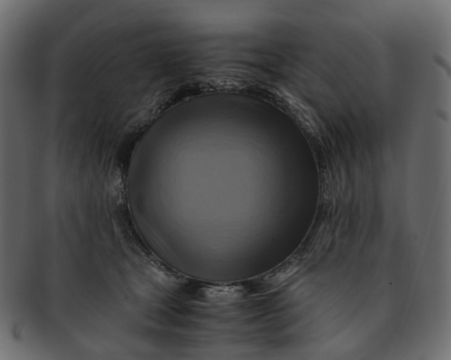 X0000091540465200709071108