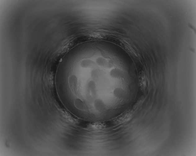 X0000091540466200709071108