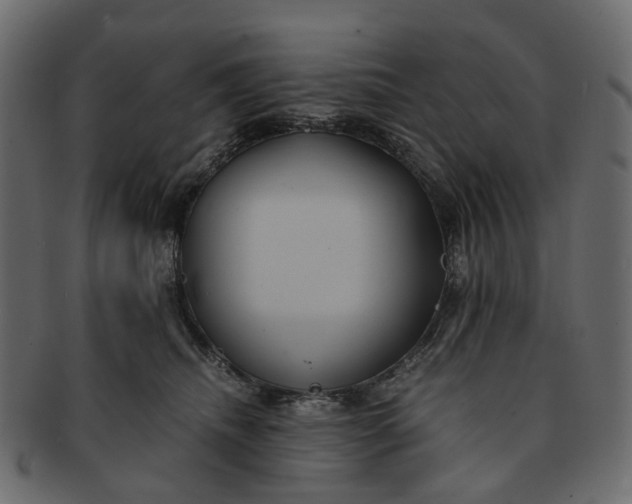 X0000091540468200709071108