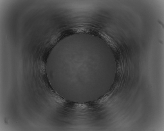 X0000091540469200709071108