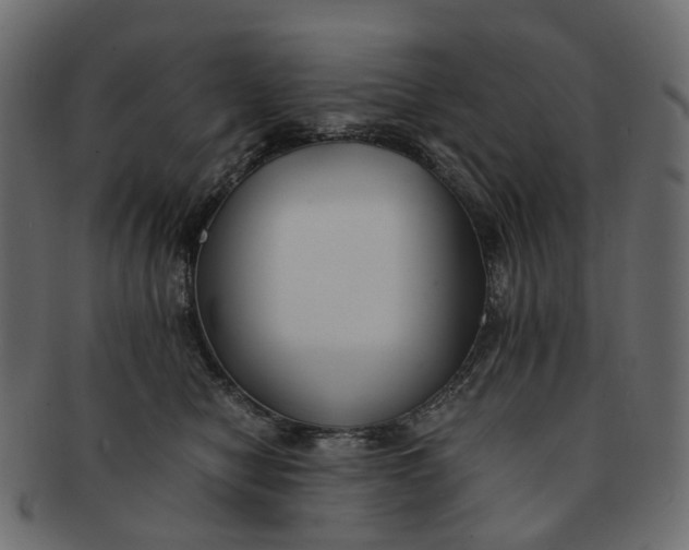 X0000091540470200709071108