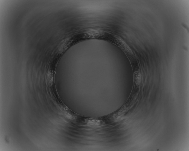 X0000091540471200709071108