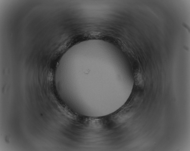 X0000091540472200709071108