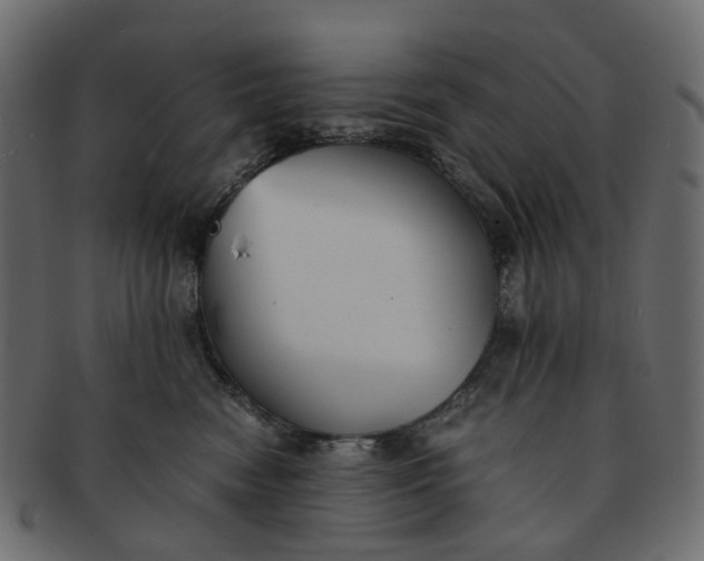 X0000091540474200709071108