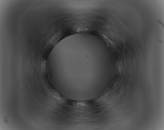 X0000091540475200709071108