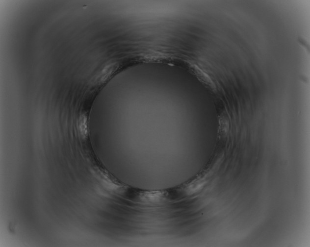 X0000091540479200709071108