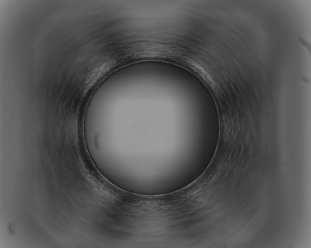 X0000091540482200709071108