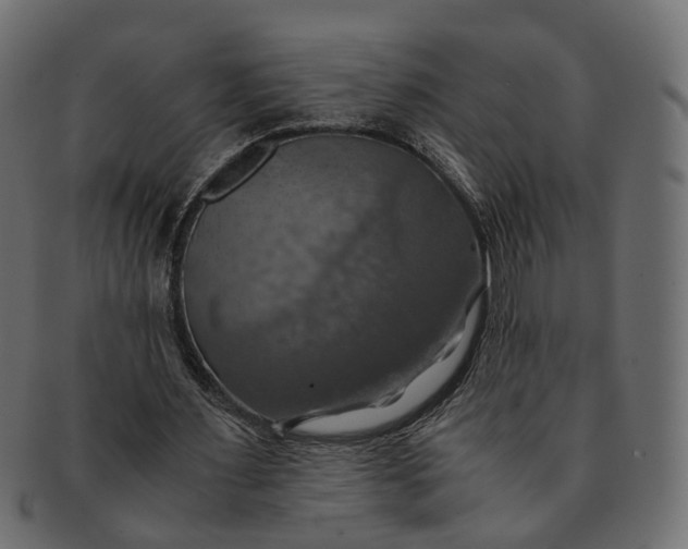 X0000091540483200709071108