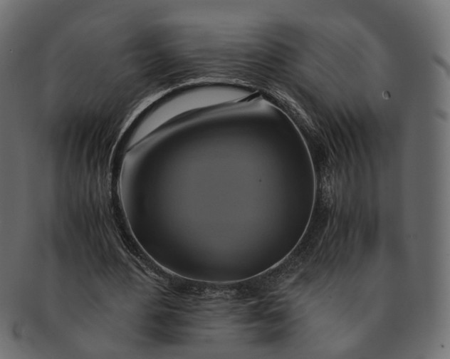 X0000091540484200709071107