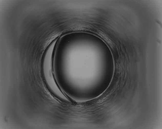 X0000091540485200709071107