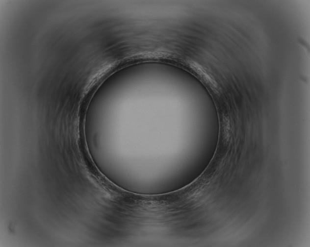 X0000091540486200709071107