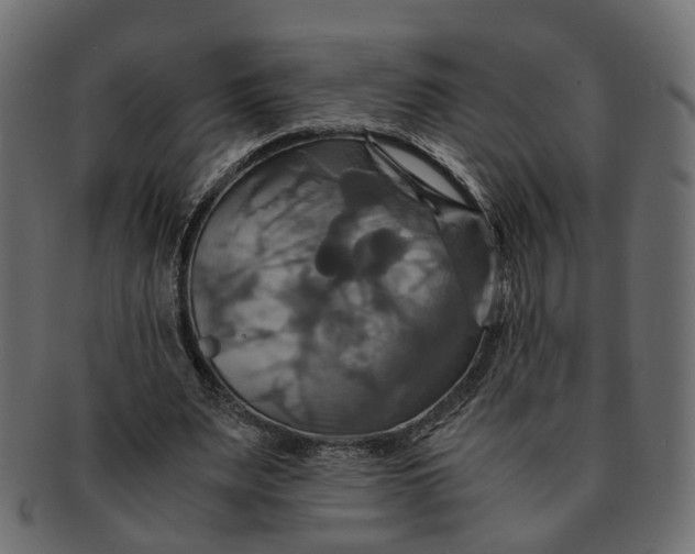 X0000091540487200709071107