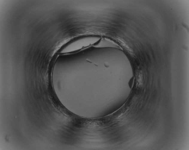 X0000091540488200709071107