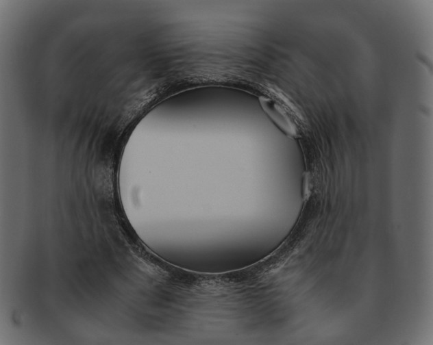 X0000091540489200709071107