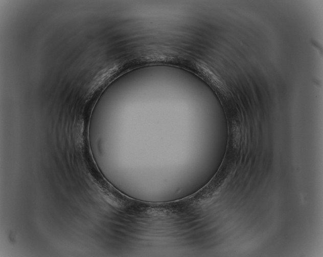 X0000091540490200709071107