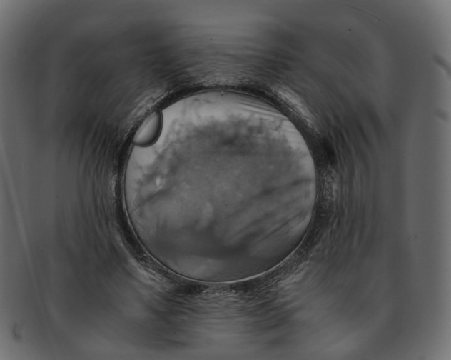 X0000091540491200709071107