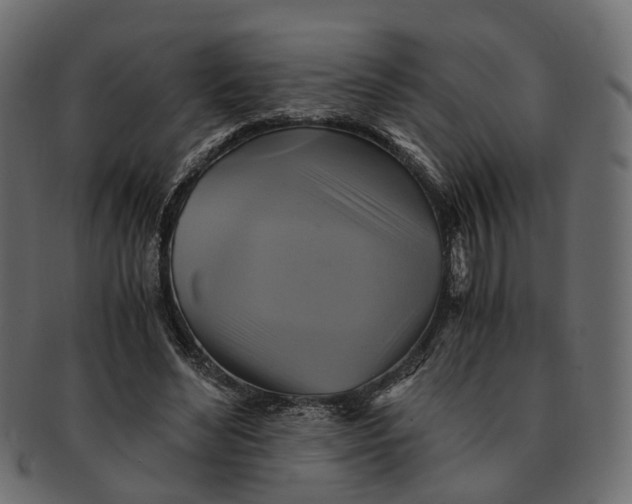 X0000091540492200709071107