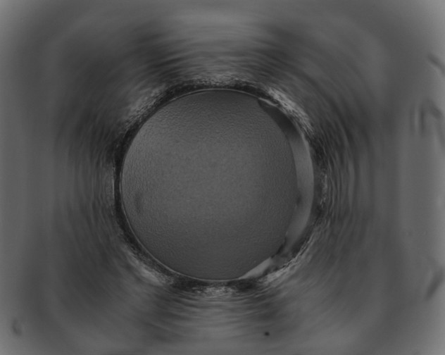 X0000091540493200709071107