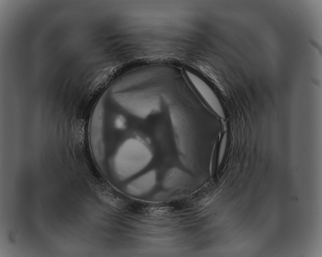 X0000091540495200709071107