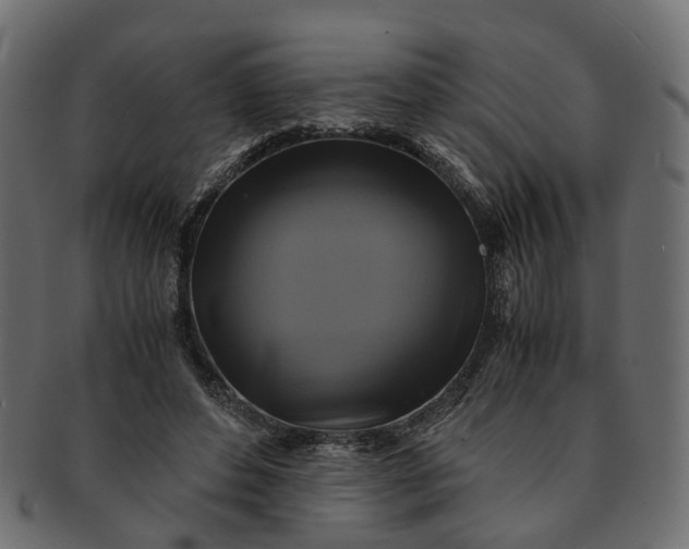 X0000091540496200709071107