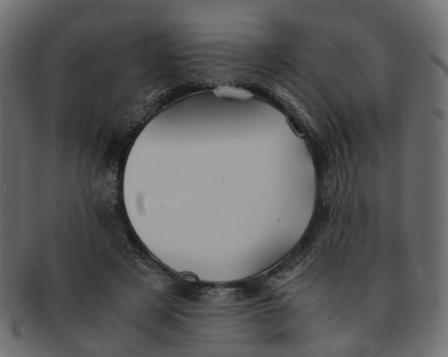 X0000091540497200709071107