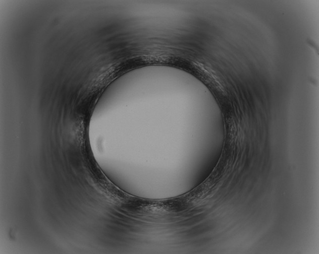 X0000091540498200709071107