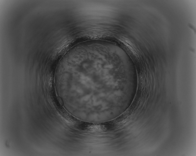 X0000091540499200709071107