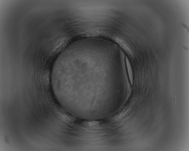 X0000091540501200709071107