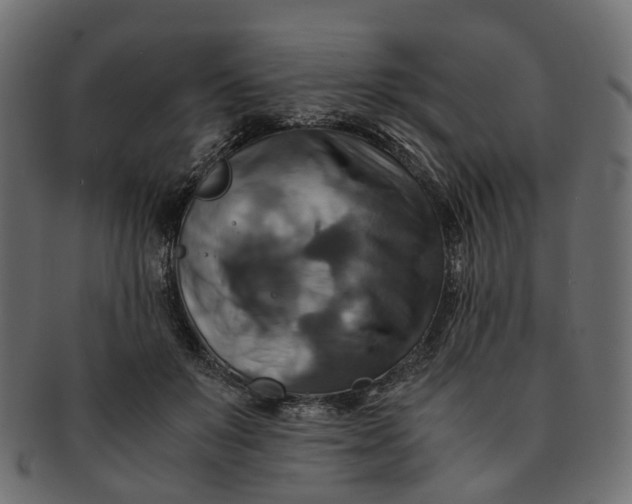 X0000091540503200709071107