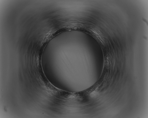 X0000091540504200709071107