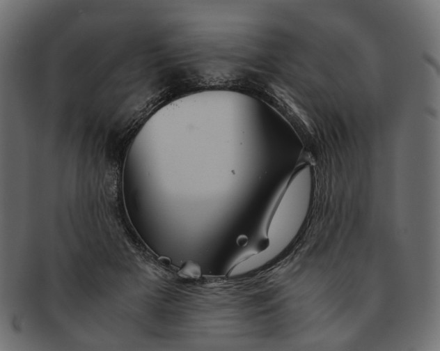 X0000091540505200709071107