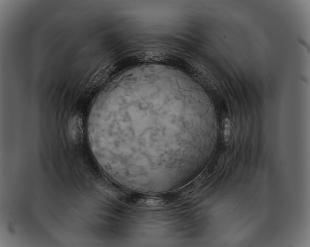 X0000091540506200709071107