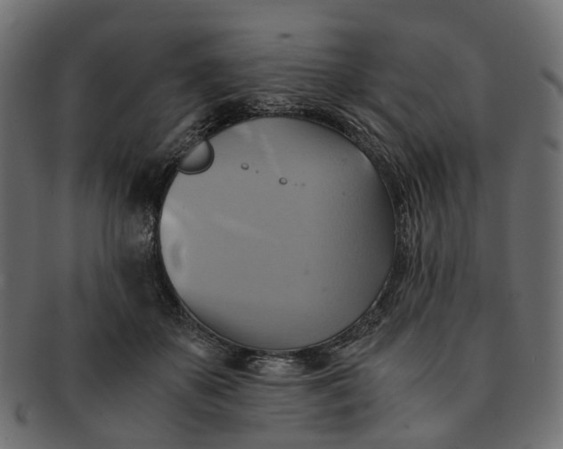 X0000091540507200709071107