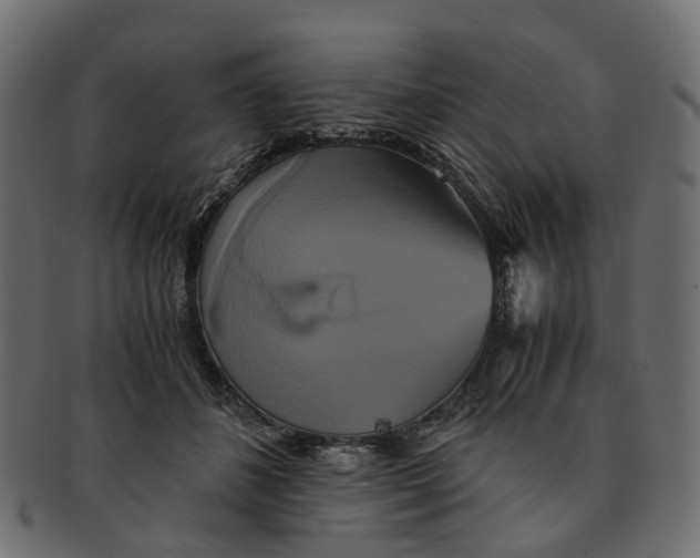 X0000091540508200709071107