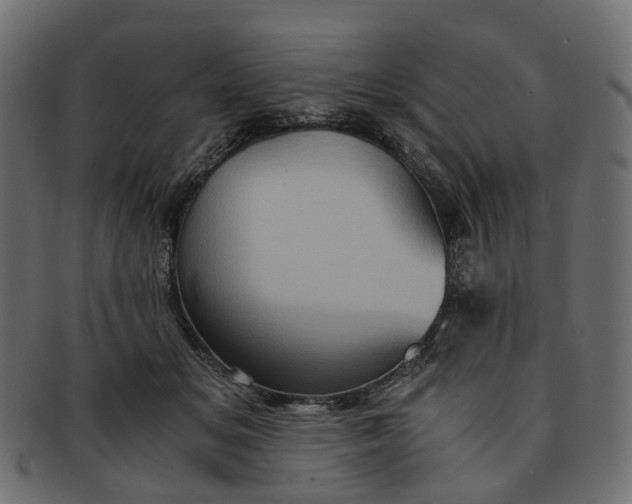 X0000091540509200709071107