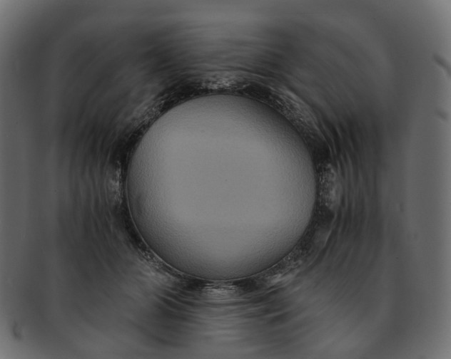 X0000091540510200709071107