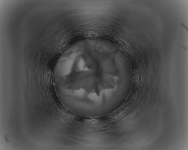 X0000091540511200709071107