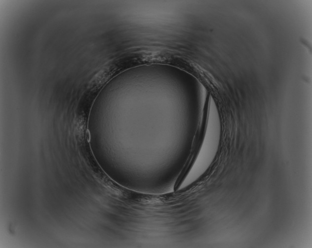 X0000091540513200709071107