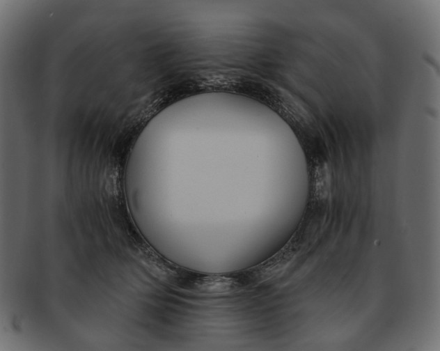 X0000091540514200709071107